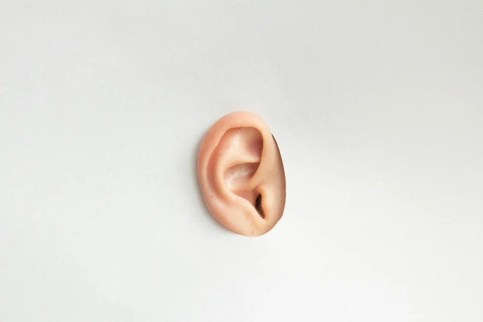 A single human ear isolated on a plain white background